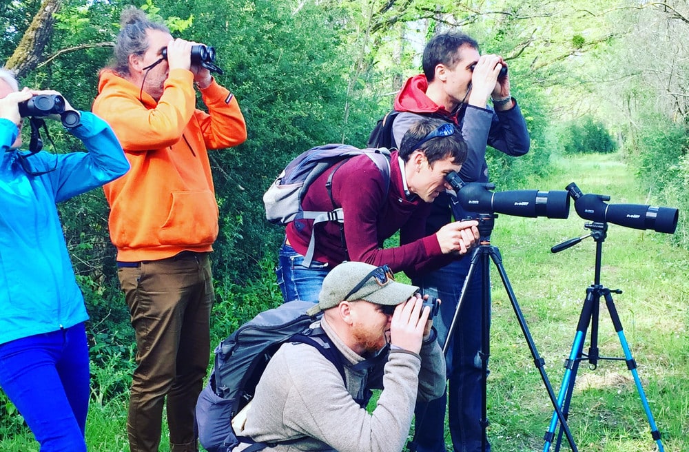 Atelier biodiversité