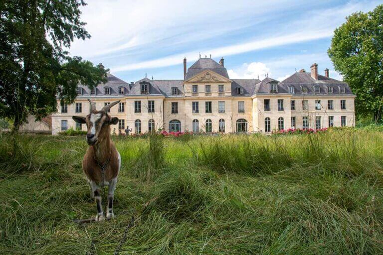 Les bâtiments du Campus de la Transition