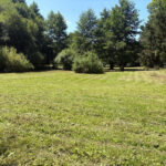 Champ à l'Archipel de la vallée