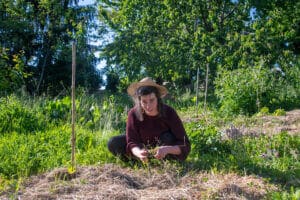 Les champs du Château Partagé