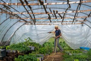 La serre du château partagé