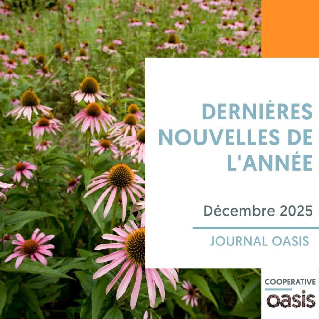 Dernières nouvelles de l'année | Journal Oasis Décembre 2025