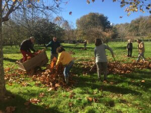 Ramaasage collectif des feuilles mortes