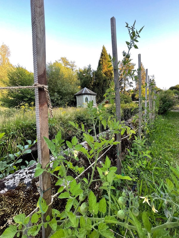 Potager de La Rub