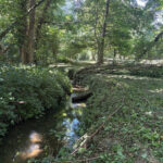 Ruisseau à l'Archipel de la vallée
