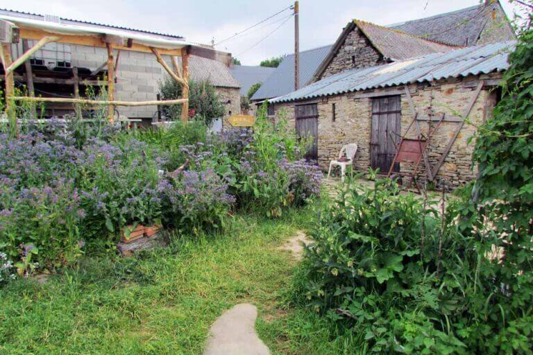 Bâtiments de l'Arbre de Vie