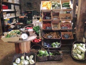 Stock de légumes de l'Arbre de Vie