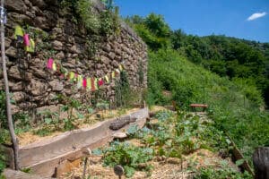 Plantations au Moulinage de Chirols