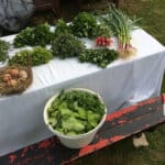 Légumes