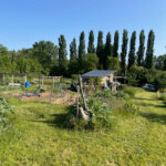 Jardin