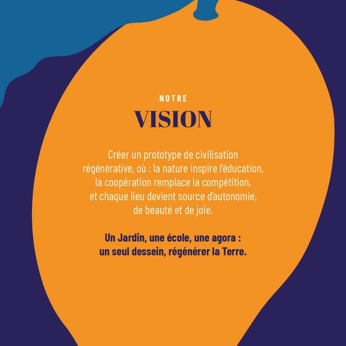 Vision