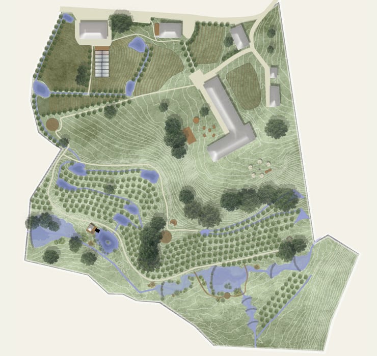Plan de Salgos