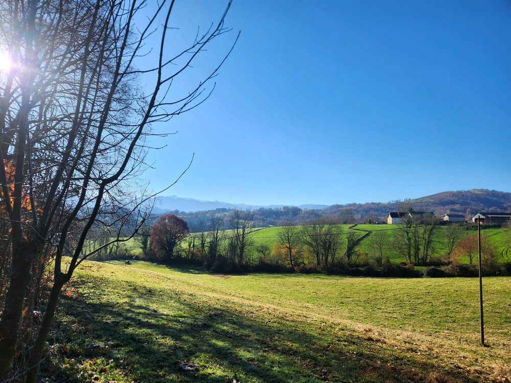 prairie Terre de ciel