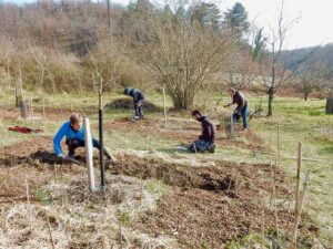 Chantier à Tera