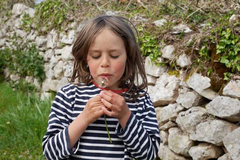 Un enfant de Terr'Azïl