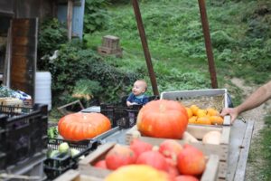 Légumes du Château Partagé