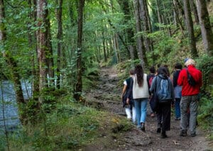 Les volontaires sur un chemin forestier